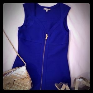 Charolette Russe Bodycon Dress